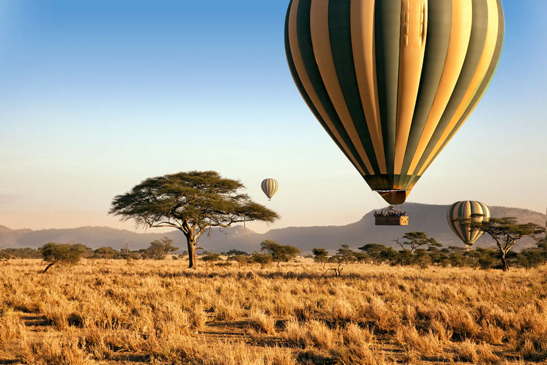 Hot air balloon floating over the Serengeti at sunrise